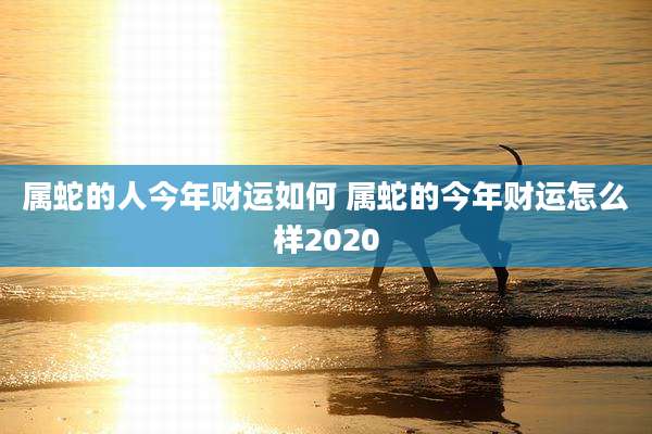 属蛇的人今年财运如何 属蛇的今年财运怎么样2020