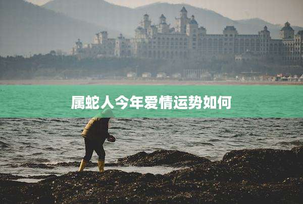 属蛇人今年爱情运势如何