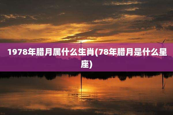 1978年腊月属什么生肖(78年腊月是什么星座)