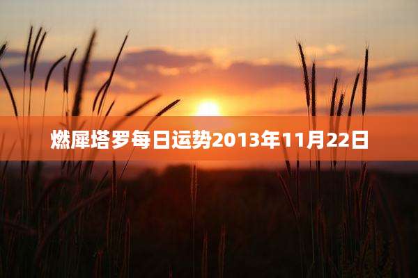 燃犀塔罗每日运势2013年11月22日