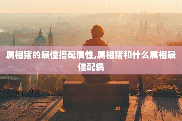 属相猪的最佳搭配属性,属相猪和什么属相最佳配偶
