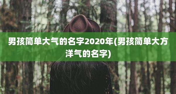 男孩简单大气的名字2020年(男孩简单大方洋气的名字)