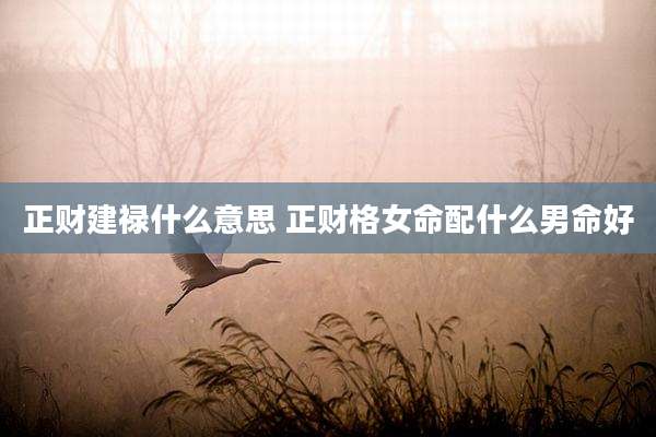 正财建禄什么意思 正财格女命配什么男命好