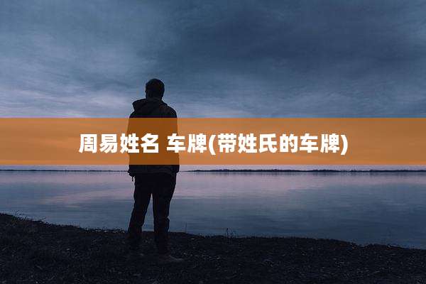 周易姓名 车牌(带姓氏的车牌)
