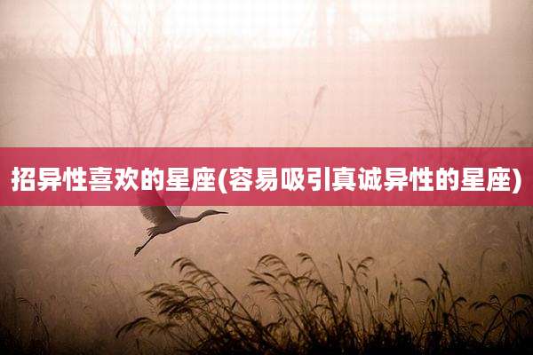 招异性喜欢的星座(容易吸引真诚异性的星座)