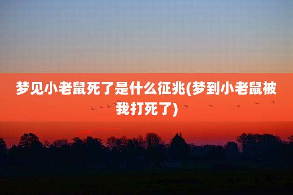梦见小老鼠死了是什么征兆(梦到小老鼠被我打死了)