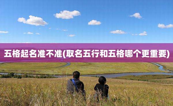 五格起名准不准(取名五行和五格哪个更重要)
