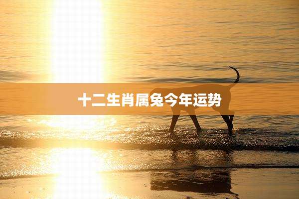 十二生肖属兔今年运势