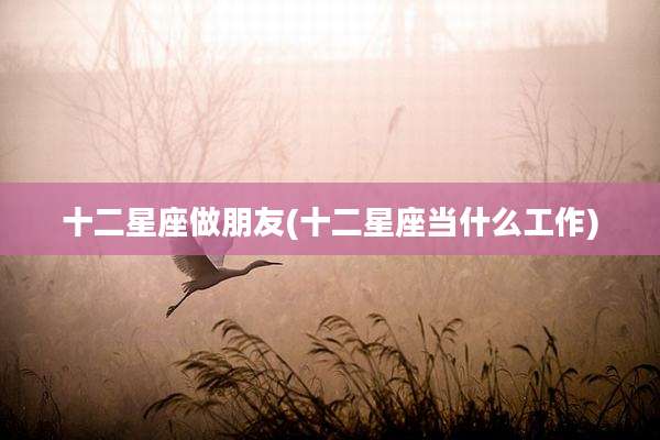 十二星座做朋友(十二星座当什么工作)