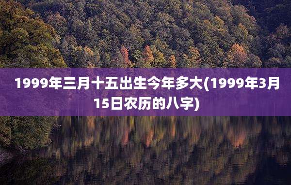1999年三月十五出生今年多大(1999年3月15日农历的八字)