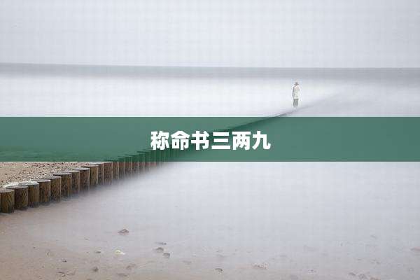 称命书三两九