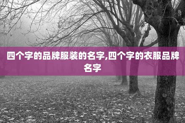 四个字的品牌服装的名字,四个字的衣服品牌名字