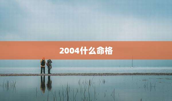 2004什么命格