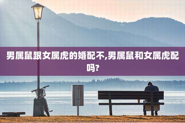 男属鼠跟女属虎的婚配不,男属鼠和女属虎配吗?