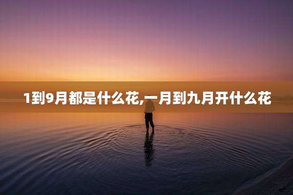 1到9月都是什么花,一月到九月开什么花