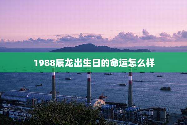 1988辰龙出生日的命运怎么样