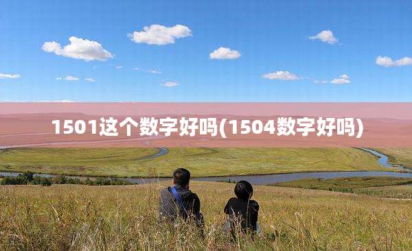 1501这个数字好吗(1504数字好吗)