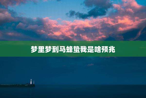 梦里梦到马蜂蛰我是啥预兆