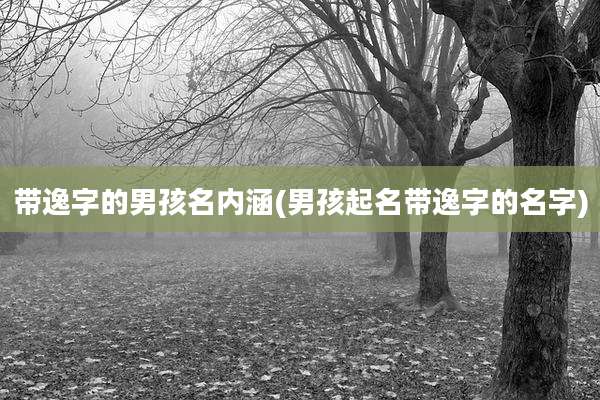 带逸字的男孩名内涵(男孩起名带逸字的名字)