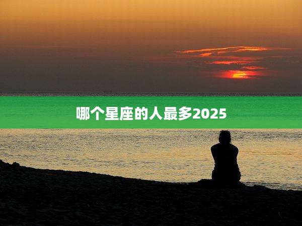 哪个星座的人最多2025