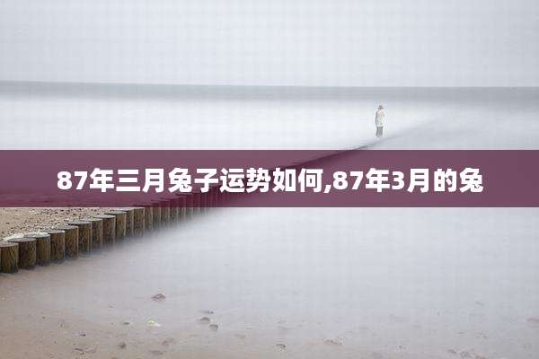 87年三月兔子运势如何,87年3月的兔