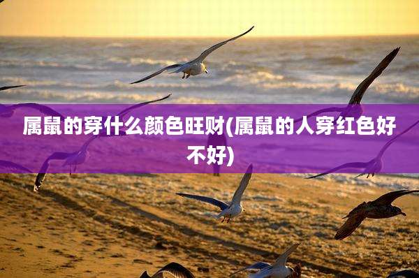 属鼠的穿什么颜色旺财(属鼠的人穿红色好不好)