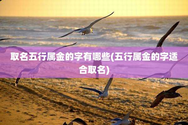取名五行属金的字有哪些(五行属金的字适合取名)