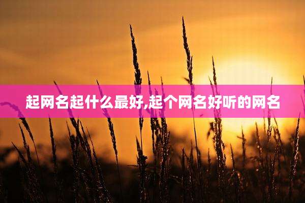 起网名起什么最好,起个网名好听的网名
