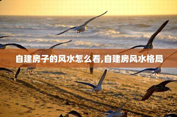 自建房子的风水怎么看,自建房风水格局