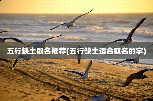 五行缺土取名推荐(五行缺土适合取名的字)
