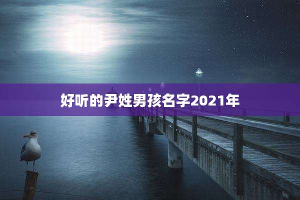 好听的尹姓男孩名字2021年