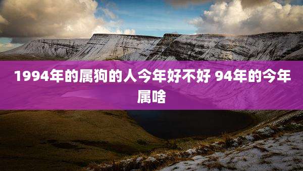 1994年的属狗的人今年好不好 94年的今年属啥