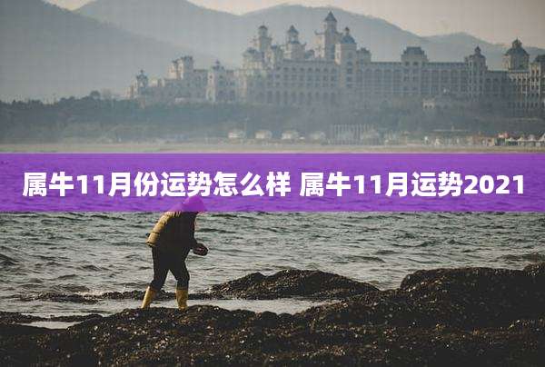 属牛11月份运势怎么样 属牛11月运势2021