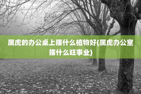 属虎的办公桌上摆什么植物好(属虎办公室摆什么旺事业)