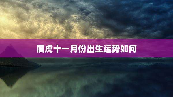 属虎十一月份出生运势如何