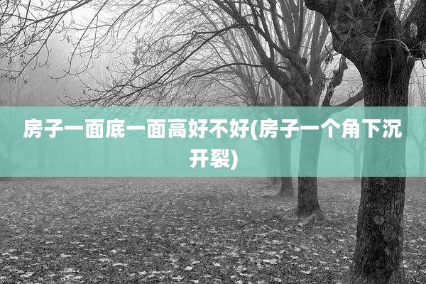 房子一面底一面高好不好(房子一个角下沉开裂)