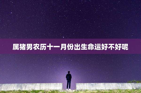 属猪男农历十一月份出生命运好不好呢