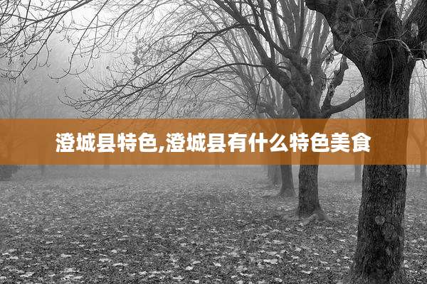 澄城县特色,澄城县有什么特色美食