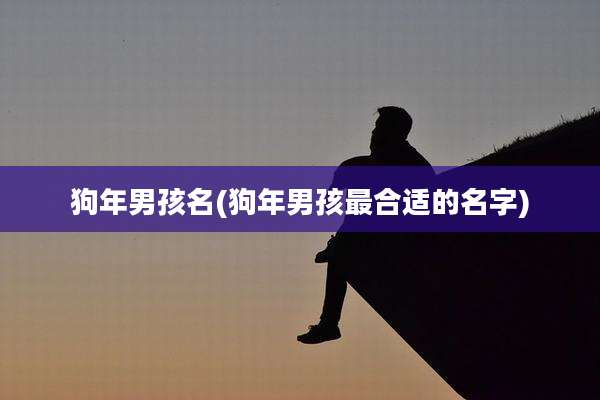 狗年男孩名(狗年男孩最合适的名字)