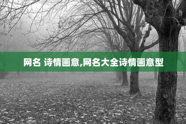 网名 诗情画意,网名大全诗情画意型