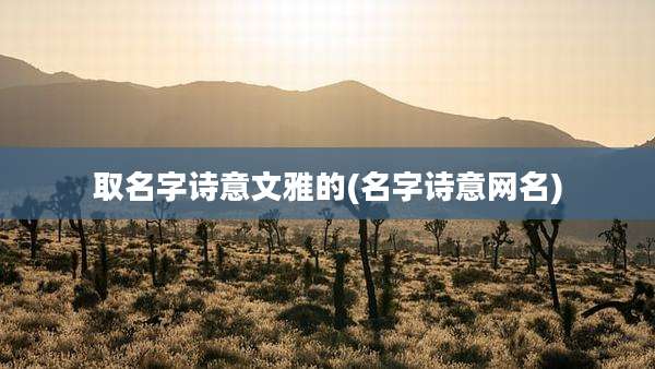 取名字诗意文雅的(名字诗意网名)