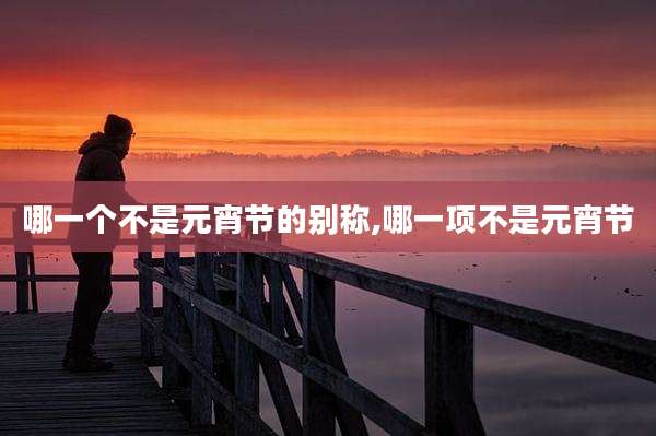 哪一个不是元宵节的别称,哪一项不是元宵节