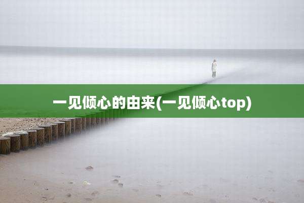 一见倾心的由来(一见倾心top)