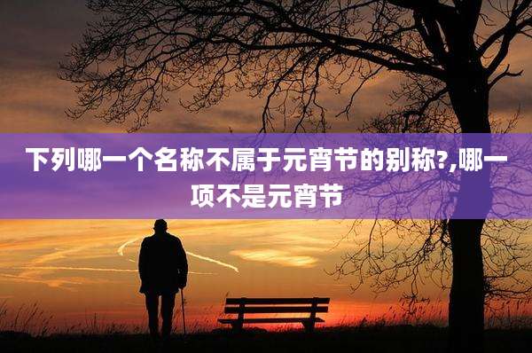 下列哪一个名称不属于元宵节的别称?,哪一项不是元宵节
