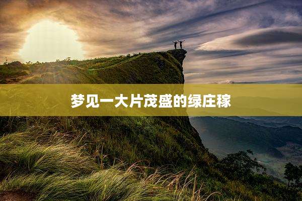梦见一大片茂盛的绿庄稼