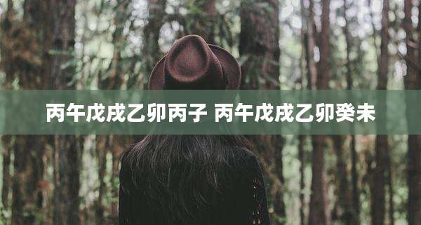丙午戊戌乙卯丙子 丙午戊戌乙卯癸未
