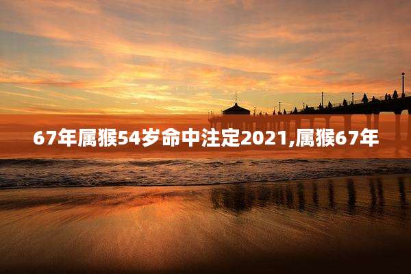 67年属猴54岁命中注定2021,属猴67年