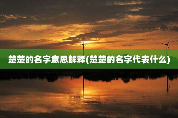 楚楚的名字意思解释(楚楚的名字代表什么)