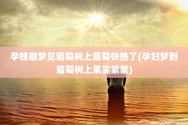 孕晚期梦见葡萄树上葡萄快熟了(孕妇梦到葡萄树上果实累累)