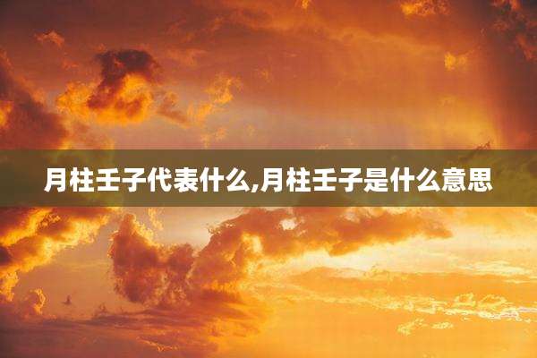 月柱壬子代表什么,月柱壬子是什么意思